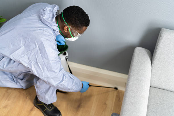 Reliable North Plymouth, MA Pest control Solutions